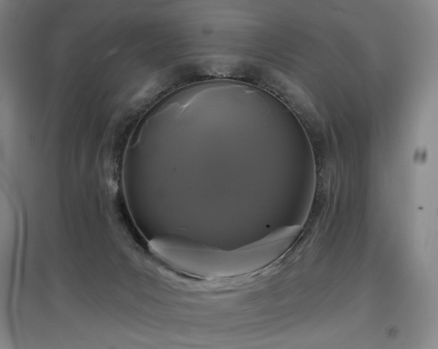 X0000097470031200802221246