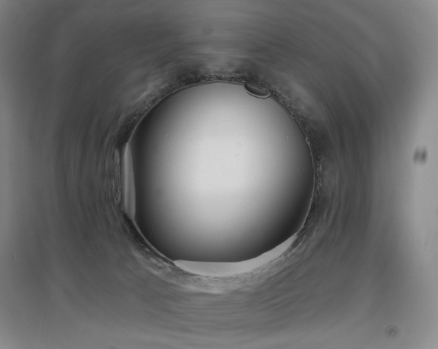 X0000097470033200802221246