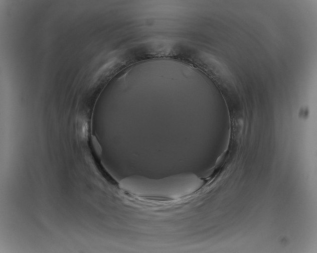 X0000097470035200802221246