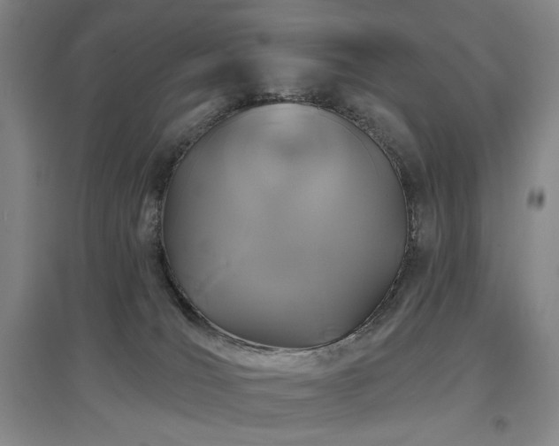 X0000097470036200802221246