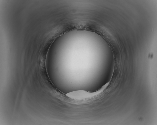 X0000097470037200802221246