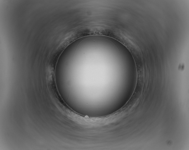 X0000097470038200802221246