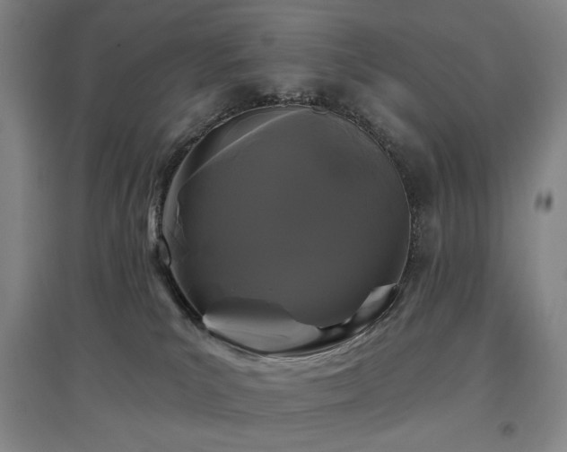 X0000097470039200802221246