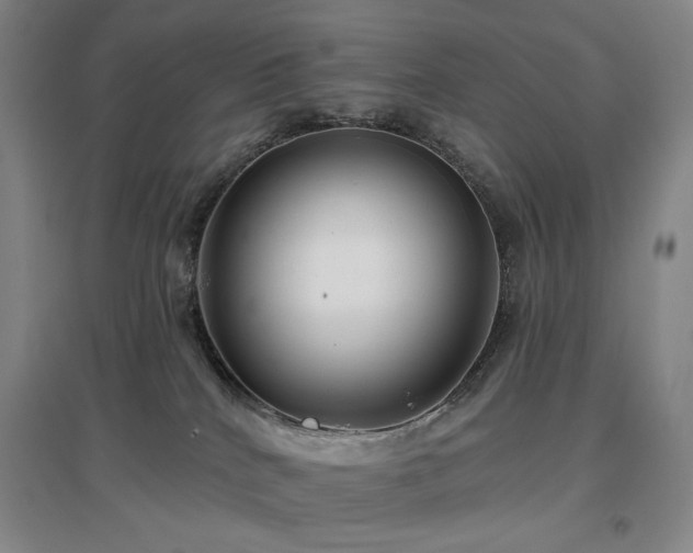 X0000097470040200802221246