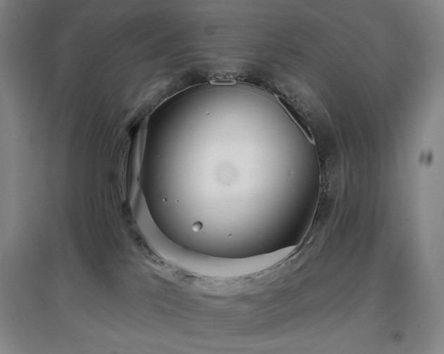 X0000097470041200802221246