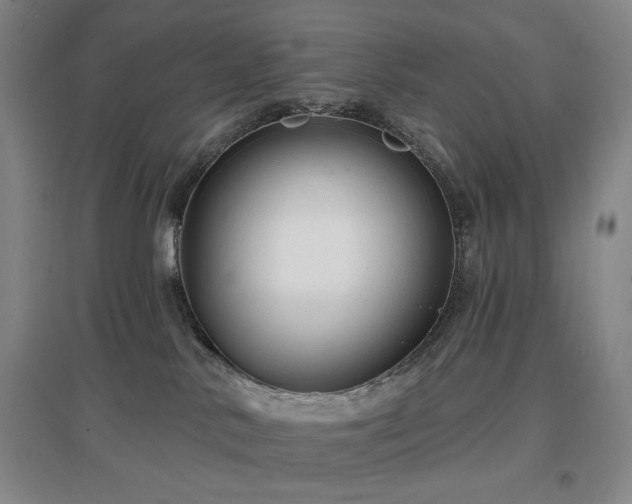 X0000097470042200802221246