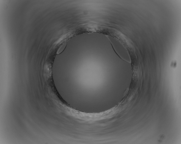 X0000097470043200802221246