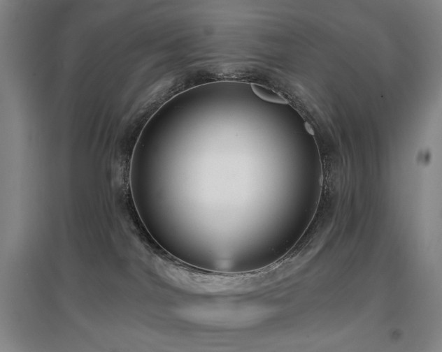X0000097470044200802221246