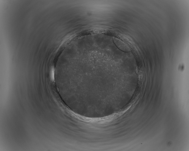 X0000097470046200802221246
