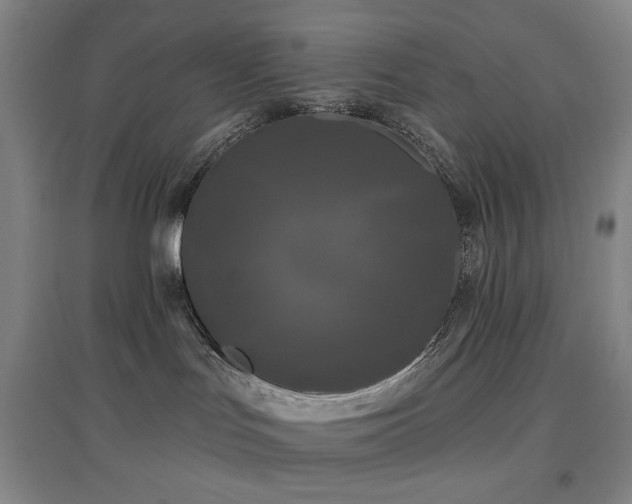 X0000097470047200802221246