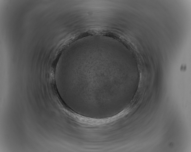 X0000097470048200802221246