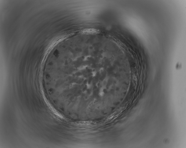 X0000097470049200802221245
