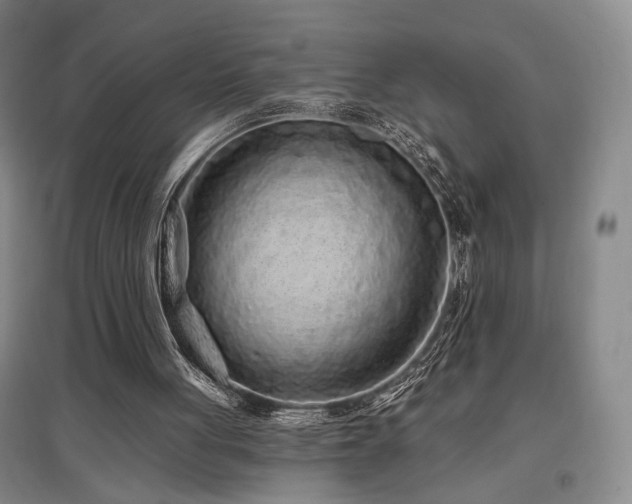 X0000097470051200802221245
