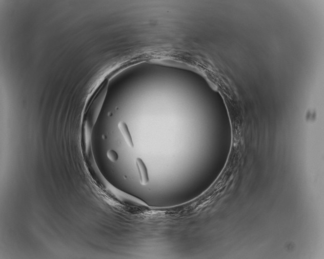 X0000097470052200802221245