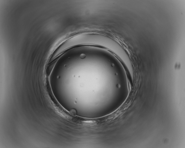 X0000097470053200802221245