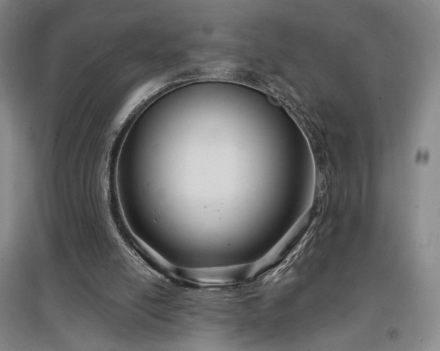 X0000097470054200802221245