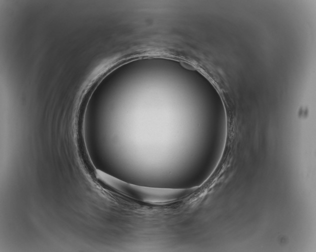 X0000097470055200802221245