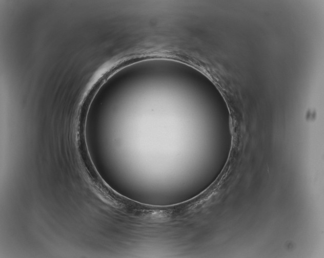 X0000097470056200802221245