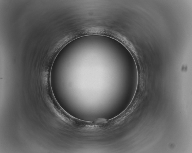 X0000097470057200802221245