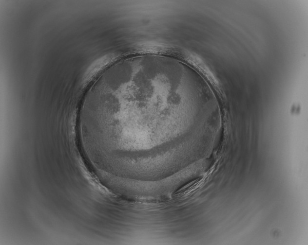 X0000097470058200802221245
