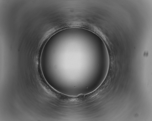 X0000097470059200802221245