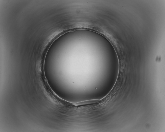 X0000097470060200802221245