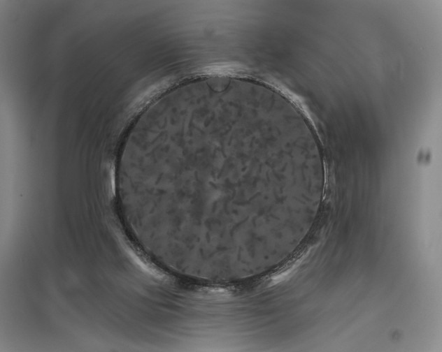 X0000097470061200802221245