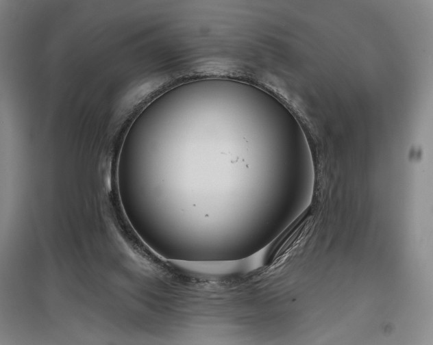 X0000097470062200802221245
