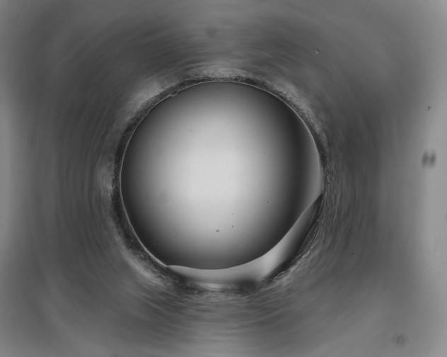 X0000097470063200802221245