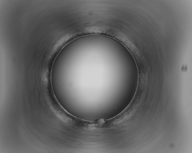 X0000097470064200802221245