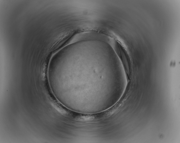X0000097470065200802221245