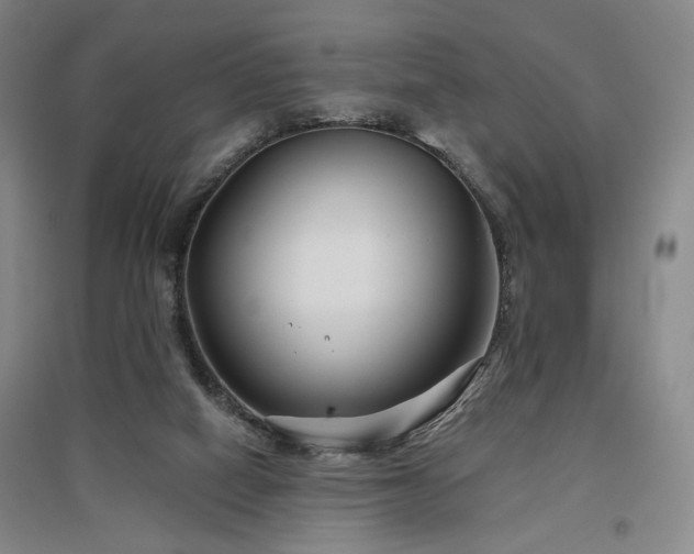 X0000097470066200802221245