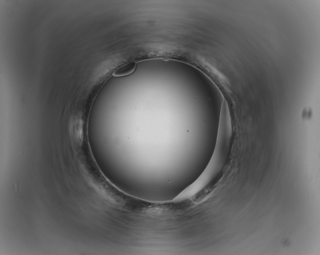 X0000097470067200802221245