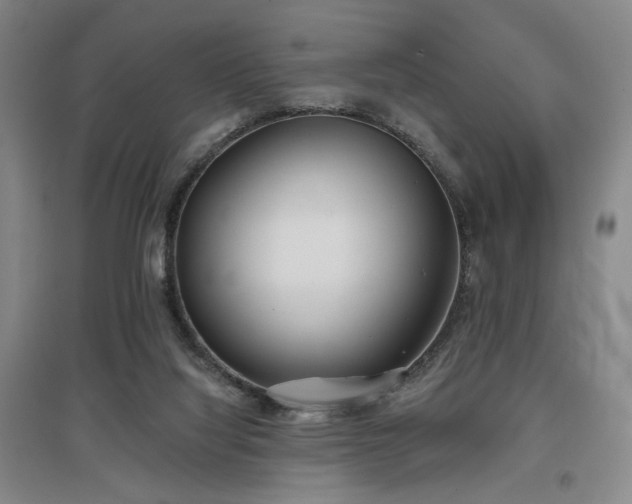 X0000097470068200802221245