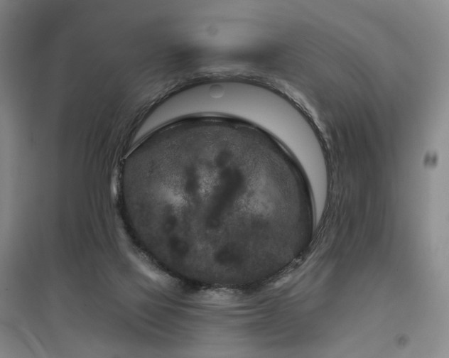 X0000097470069200802221245