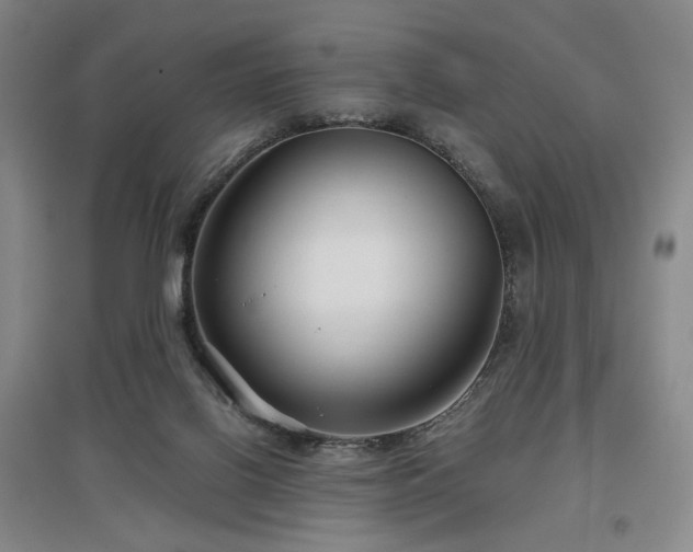 X0000097470070200802221245