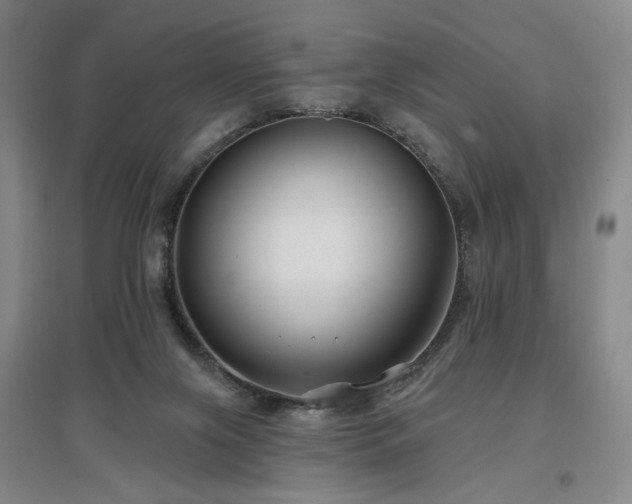X0000097470071200802221245