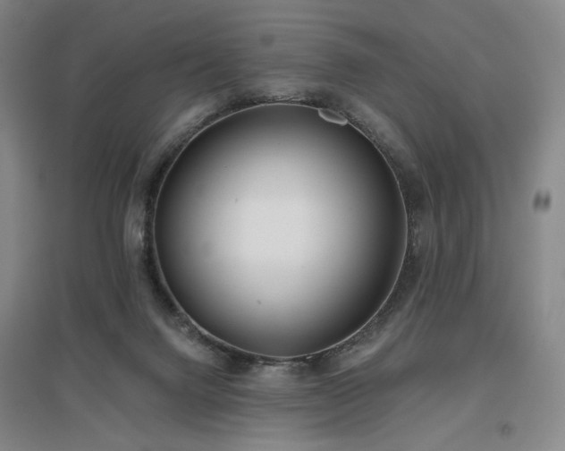 X0000097470072200802221245