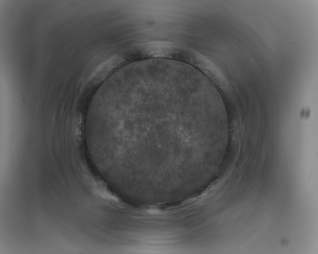 X0000097470073200802221245
