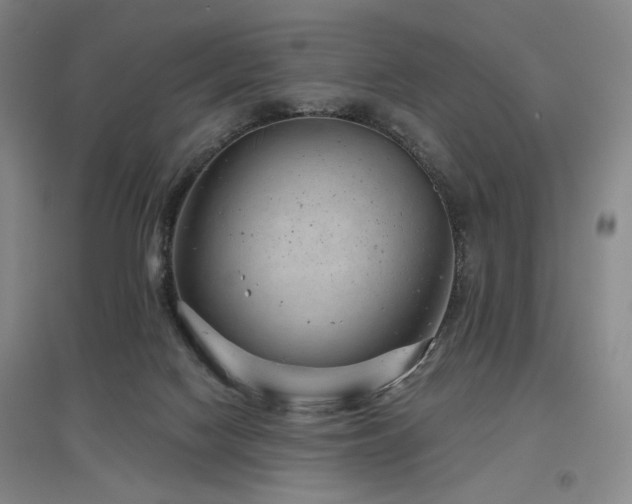 X0000097470074200802221245