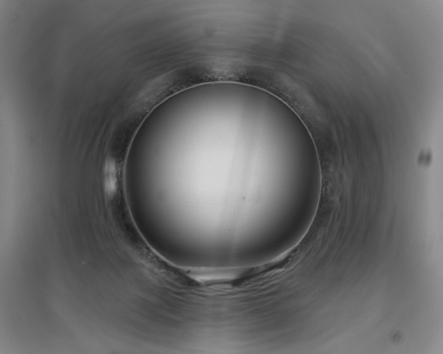X0000097470075200802221245