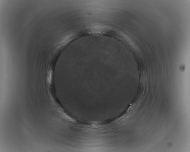 X0000097470076200802221245