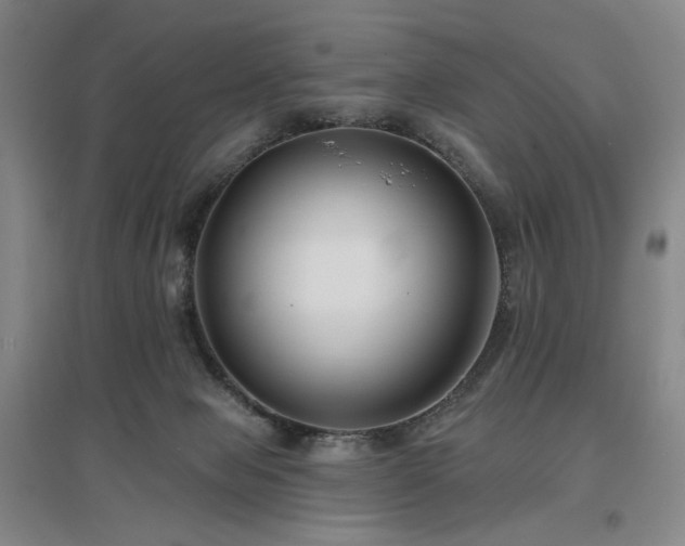 X0000097470077200802221245