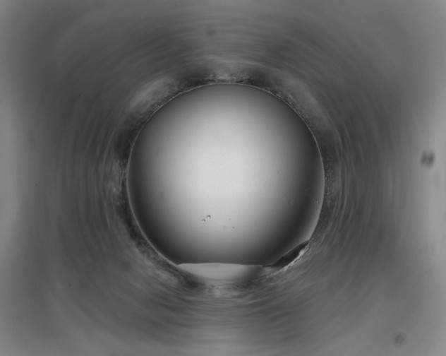 X0000097470078200802221245