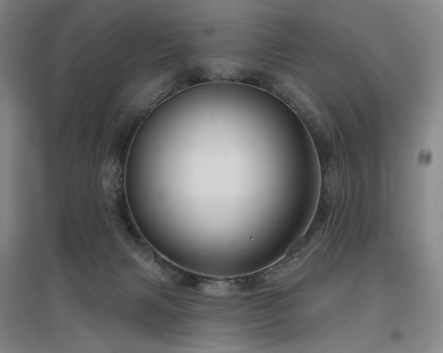 X0000097470079200802221245