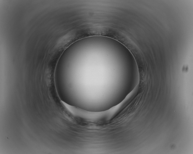 X0000097470080200802221245