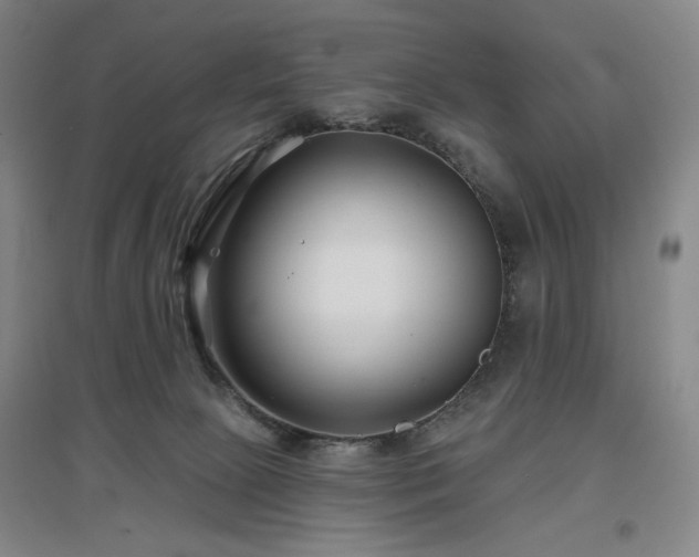 X0000097470081200802221245