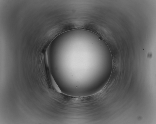 X0000097470082200802221245
