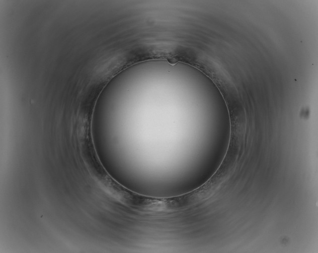 X0000097470083200802221246