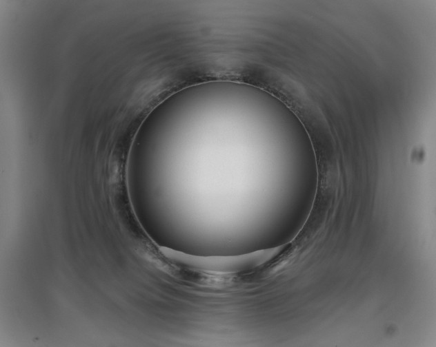 X0000097470084200802221246